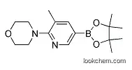 Molecular Structure of 1073372-03-8 (4-[3-METHYL-5-(4,4,5,5-TETRAMETHYL-[1,3,2]-DIOXABOROLAN-2-YL)PYRIDIN-2-YL]MORPHOLINE)